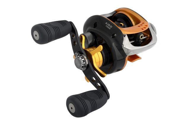 Fish come up for Aird